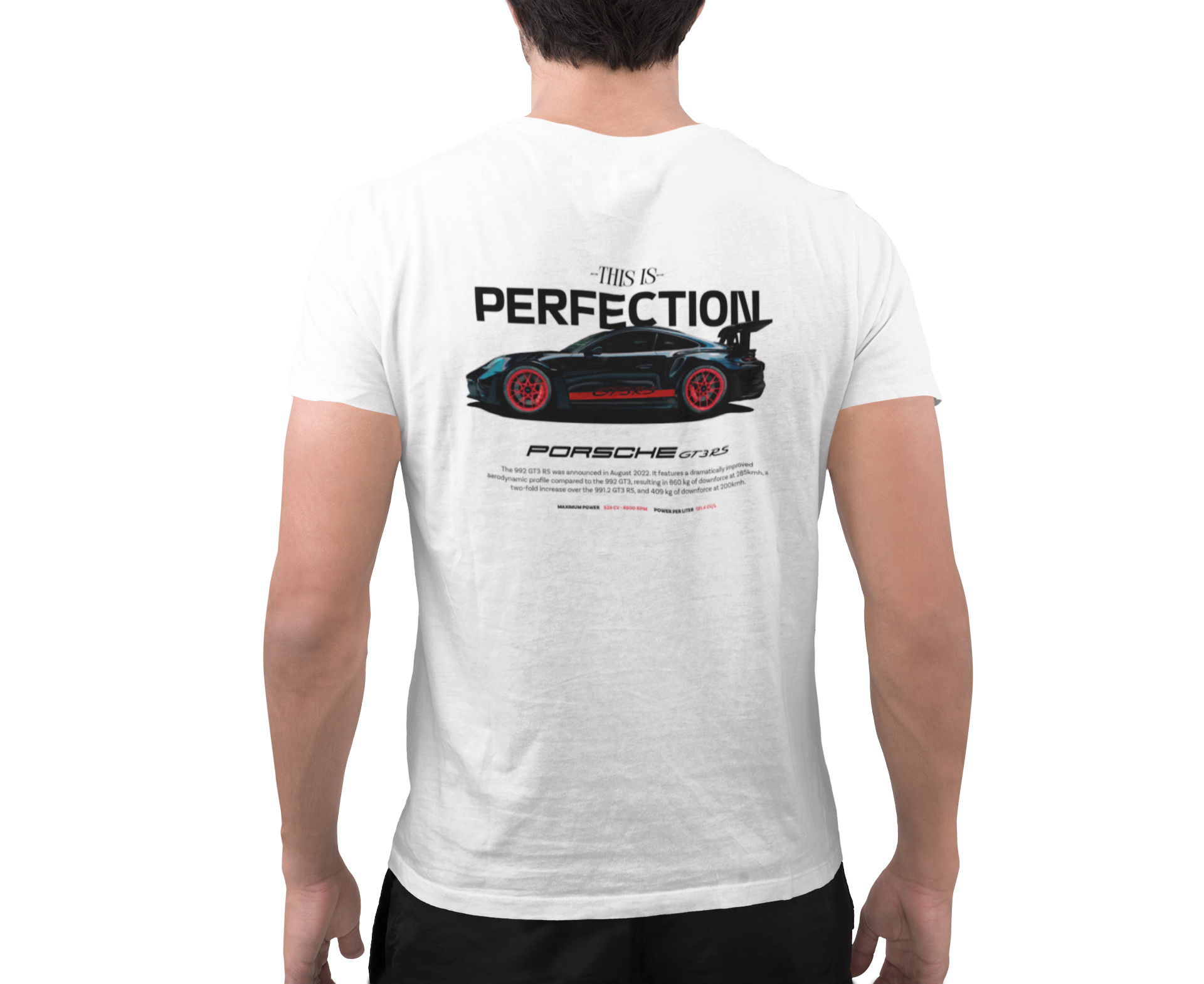 Camiseta Perfection