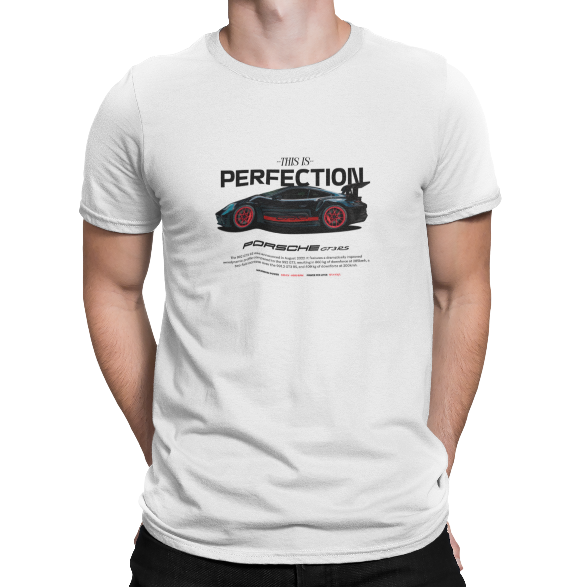 Camiseta Perfection